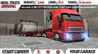 Echte Vrachtwagenchauffeur Screen Shot 1