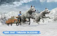 Śnieg Pies Sanki Transportować Gry Zima Sport Screen Shot 11