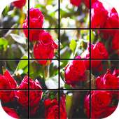 Roses Garden Puzzle Games
