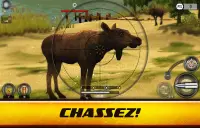 Wild Hunt: Jeu de chasse 3D Screen Shot 12