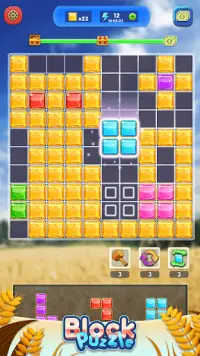 Block Puzzle - Endless Test Screen Shot 1