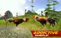 Rooster Wild Fighting Screen Shot 3