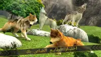 الذئب عشيرة - حيوان بري محاكاة Screen Shot 8