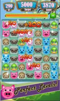 Pets Mania Paradise Screen Shot 2