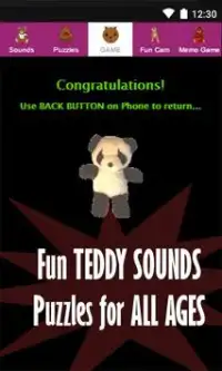 Teddy Games Teddy Bear Games Screen Shot 7
