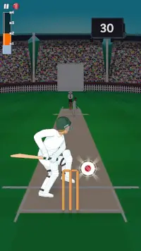 Mighty Cricket Screen Shot 2