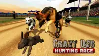 Crazy Dogs Racing Bunny Hunter : Greyhound Dog Sim Screen Shot 7