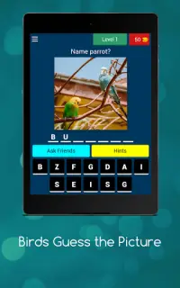 Bird Quiz: Feather Fun Trivia Screen Shot 13