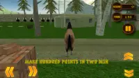 lakas ligaw horse simulator 3D Screen Shot 1