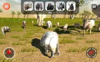 Leopard Game 3D - Симулятор для животных Safari Screen Shot 19