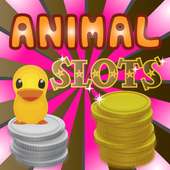 Animal Slots: Facebook Friends