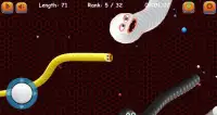 Snake Zone:Cacing.io 2020 - Worm Crawl Zone Screen Shot 5