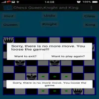 Chess Queen, Knight and King Problem Screen Shot 4