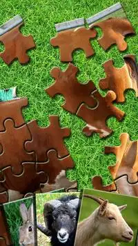 Farm Animal Puzzles For Kids Screen Shot 1