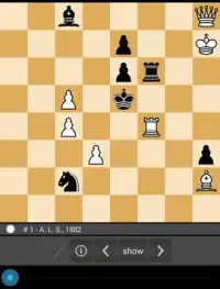 Enjoy Chess Screen Shot 1