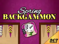 Spring Backgammon Screen Shot 5