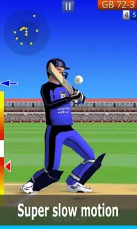Smashing Cricket: cricket game Screen Shot 0