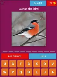Birds Quiz - Learn All Birds! Screen Shot 11