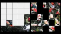 Koi Puzzle Jigsaw Puzzles Screen Shot 1