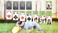 Solitaire Adorable Puppy Theme Screen Shot 2