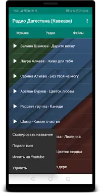 Radio of Dagestan (Caucasus) Screen Shot 7