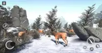 Deer Gun Hunting Games 2019 - стрелялки FPS Screen Shot 5