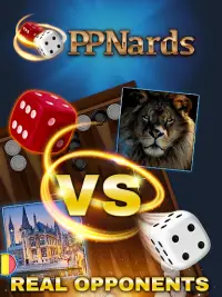 PPNards: Backgammon board game Screen Shot 6