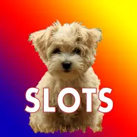 Vegas Puppy Slots (Free) Screen Shot 1