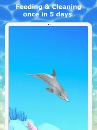Tap Dolphin -3Dsimulation game Screen Shot 4
