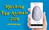Hatching Egg Animals 2018 Screen Shot 0
