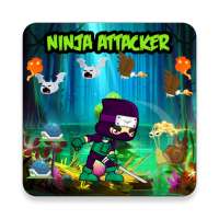 Ninja Attacker