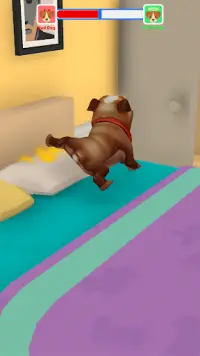 Dog Life Screen Shot 0