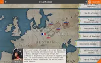 European War 4 : Napoleon Screen Shot 8