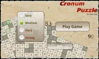 Cronum Puzzle Screen Shot 8