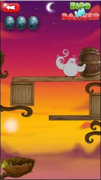 Bird in danger: Jogo de raciocínio lógico Screen Shot 6