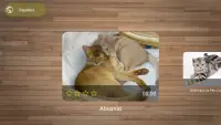 Juegos Gratis de Rompecabezas de Gatos Screen Shot 1