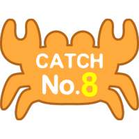 Catch No.8