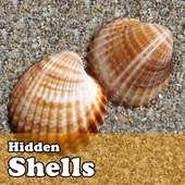 Hidden Object Games - Shells