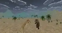 Leão irritado real Simulator Screen Shot 0
