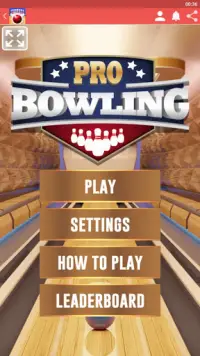 Bowling Play Screen Shot 3