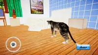 Cat Simulator : Kitten Screen Shot 2