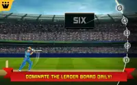 Bat2Win Free Cricket Game Screen Shot 2