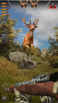Fire Sniper Games : Fun Shooting Hunter Screen Shot 5