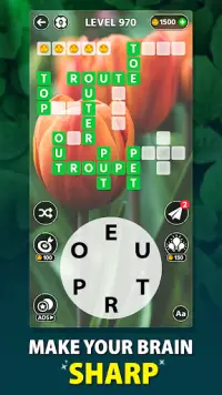 Word in Nature - Anagrams & Crossword search games Screen Shot 5
