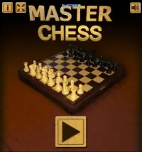 Master Chess Screen Shot 3
