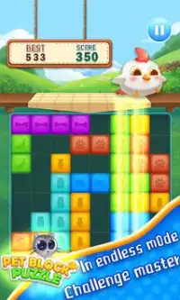 Pet Block Puzzle Screen Shot 2