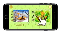 KidsDi: World birds' puzzle Screen Shot 1