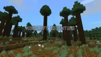 MiniCraft Adventure Screen Shot 0