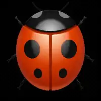 Ladybug chase Screen Shot 0