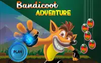 Bandicoot Runner Adventure Screen Shot 2